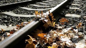 The problem of leaves on the line