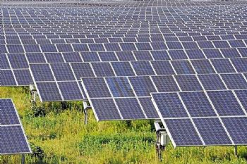 Solar farm gets green light 