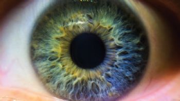 Nano-engineered retinal implant