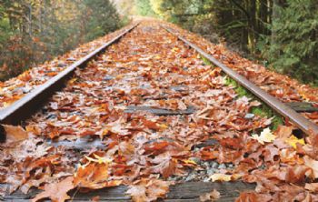 Network Rail’s leaf-busting fleet