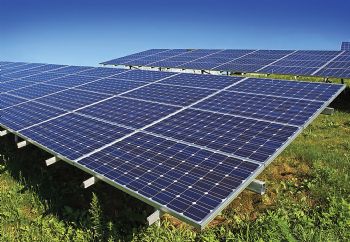 Primrose Solar connect solar farm to grid