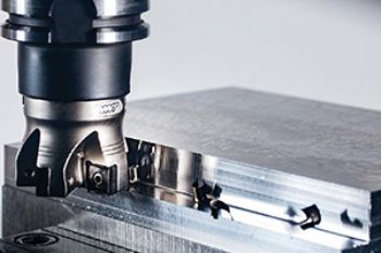 WNT at the cutting edge of MACH