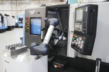 ‘Automatic benefits’ of cobots