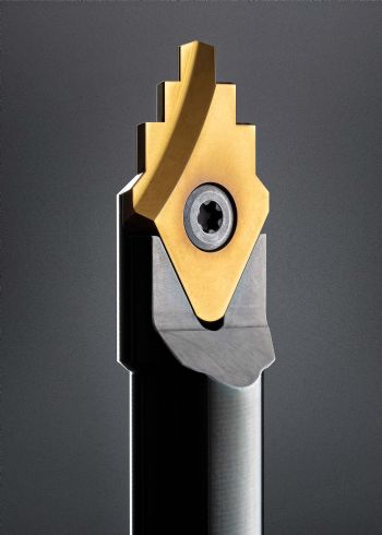 Custom carbide form tools for turning