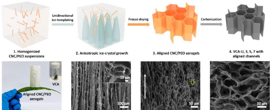 Scientists develop a novel strategy for sustainable post-lithium-ion batteries