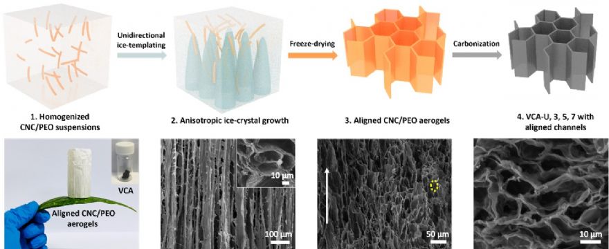 Scientists develop a novel strategy for sustainable post-lithium-ion batteries 