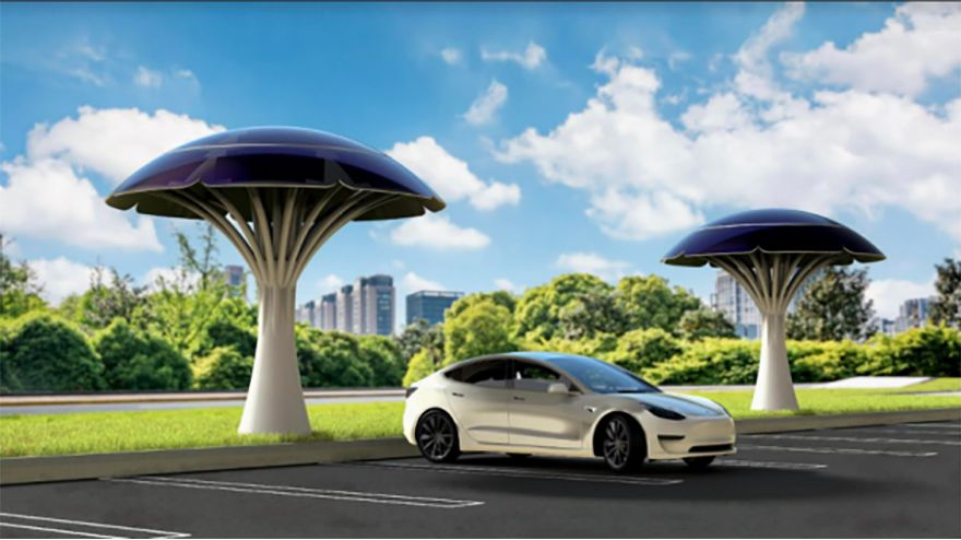 SolarBotanic Trees selected for CRL ‘Accelerator’ programme