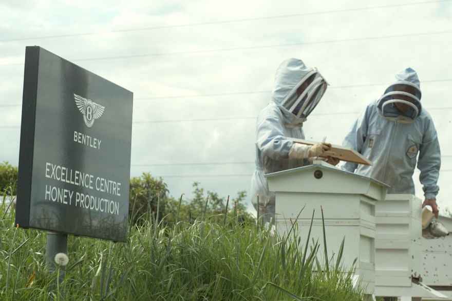 Bentley’s famous bee colony tops one million