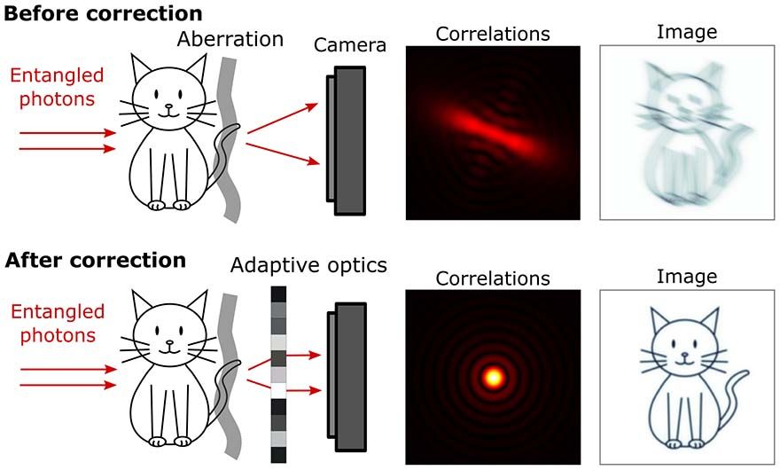 Quantum imaging offers bright future for advanced microscopes