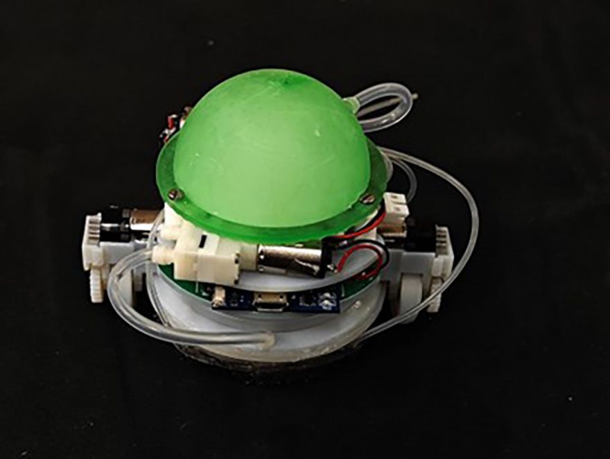 New snail-inspired robot can climb walls