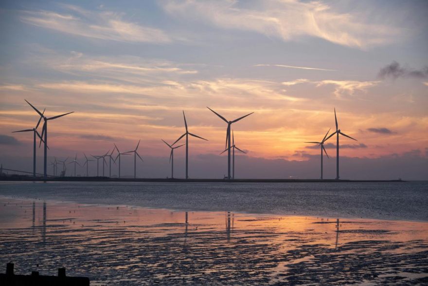 Urgent action needed for UK to decarbonise by 2050