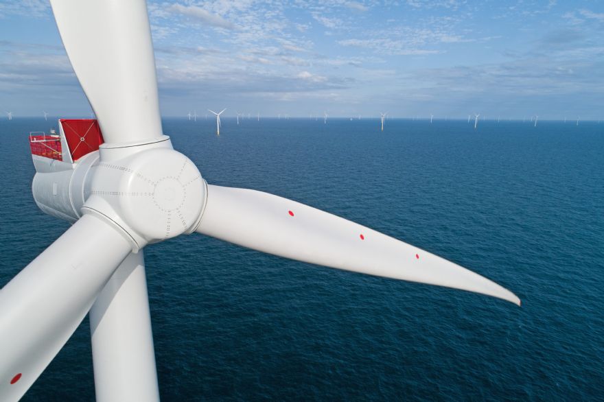 New tool protects sea birds from impact of offshore wind farms 