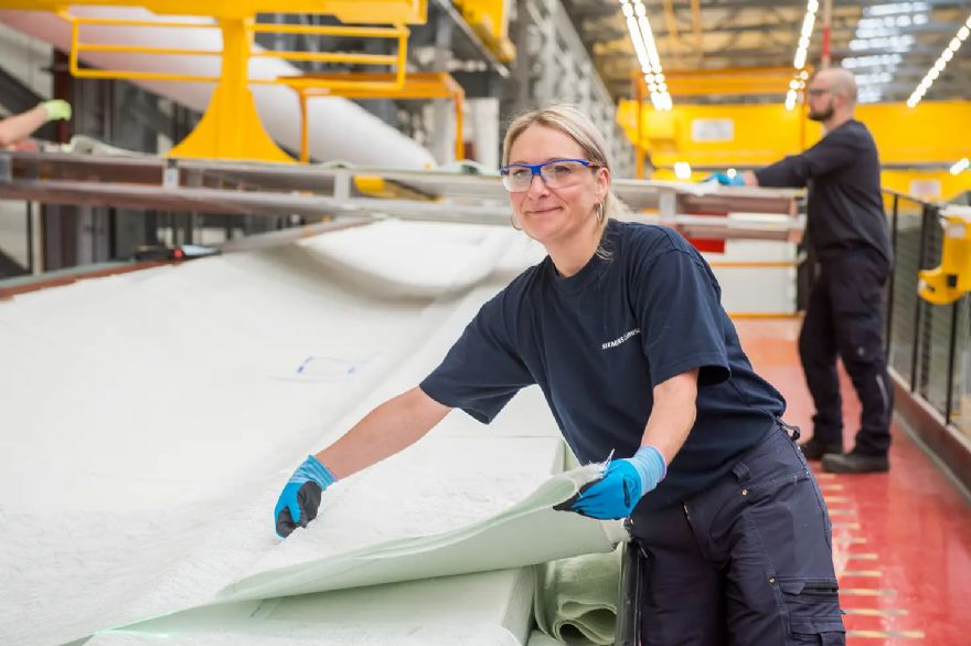 Wind developers to pay for skills training 
