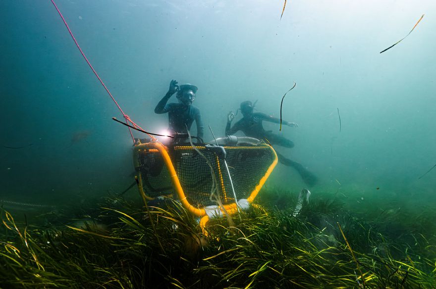 Tandem Ventures harvests the design capability of Onshape 