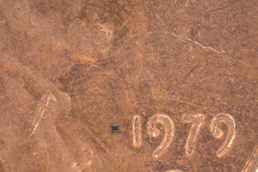 World’s smallest programmable robots open new possibilities