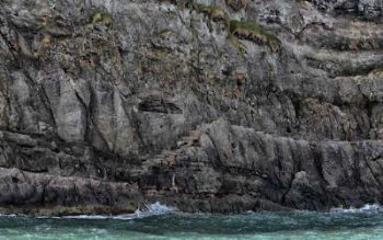 Gobbins coastal path work nears completion
