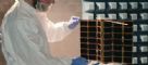 Glasgow wins share of data-science grant