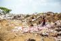 Robots and machines are revolutionising waste 