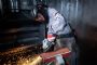 Only half the metal sector says industry-wide productivity is increasing