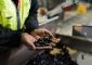 Essentra makes progress on sustainability with latest EcoVadis rating