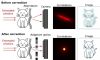 Quantum imaging offers bright future for advanced microscopes