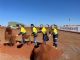Fortescue ‘breaks ground’ on Green Metal Project
