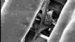 Bone tissue engineering with 3-D printing
