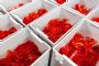 Ensuring plastics projects are optimally priced