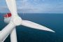 New tool protects sea birds from impact of offshore wind farms 