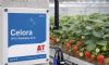 Delta-T celebrates 55 years with £5m sales milestone