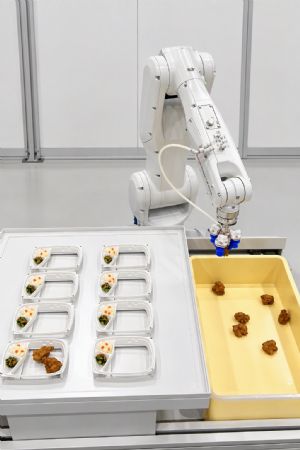 Fanuc 2