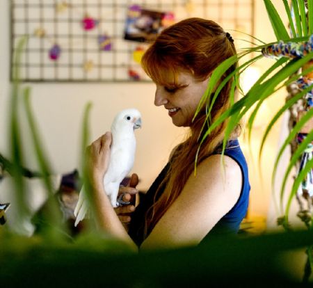 Parrots 2